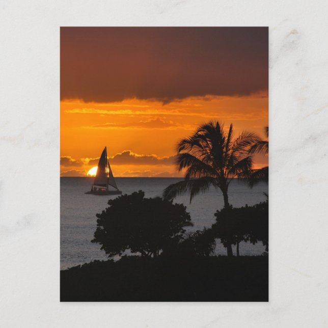 Postcard Vertical - Hawaiian Sunset (Front)
