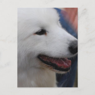 Postcard Vertical Template - Customised