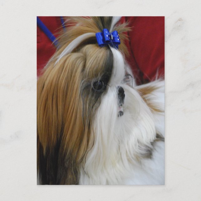 Postcard Vertical Template - Customised (Front)