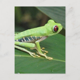 Postcard Vertical Template - Customised