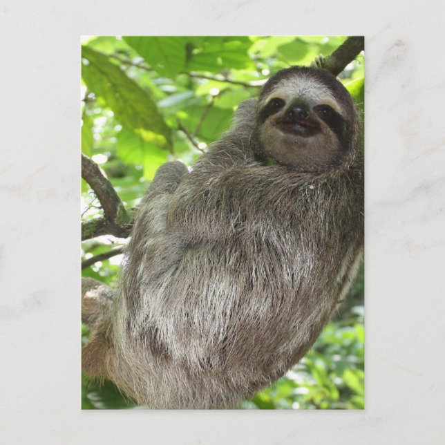 Postcard Vertical Template - Customised (Front)