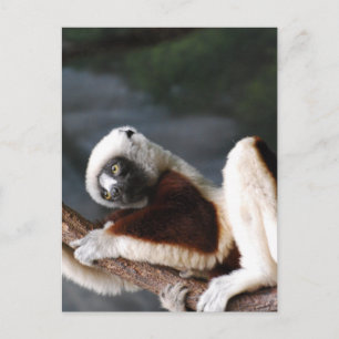 Postcard Vertical Template - Customised