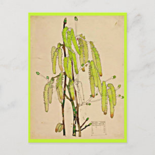 Postcard-Vintage Art-Charles Rennie Mackintosh 11 Postcard