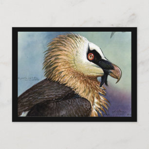 Postcard-Vintage Chicago Art-Abyssinian Birds 11 Postcard