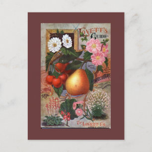 Postcard - Vintage Floral Fruit illustration