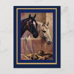 Postcard Vintage Horses Dogs
