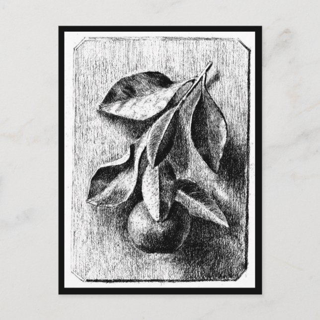 Postcard-Vintage Illustration-Beatrix Potter 8 Postcard (Front)