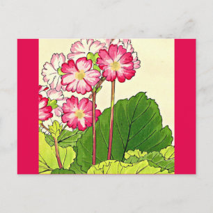 Postcard-Vintage Japanese Art-Tanigami Konan 16 Postcard