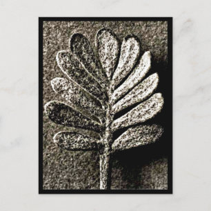 Postcard-Vintage Photography-Karl Blossfeldt 41 Postcard