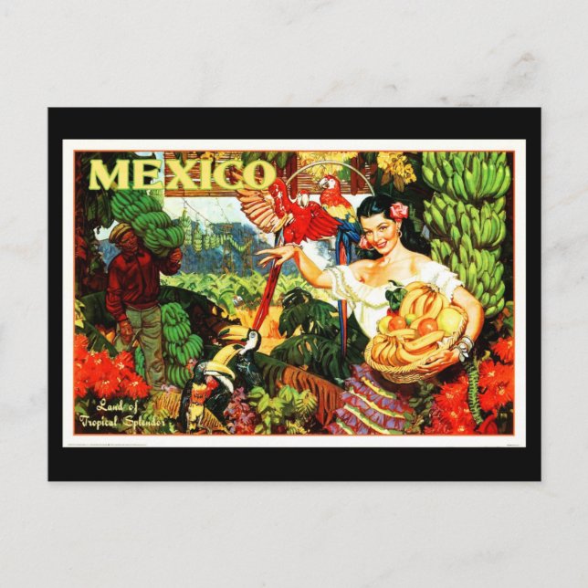Postcard-VIntage Travel-Mexico 2 Postcard (Front)