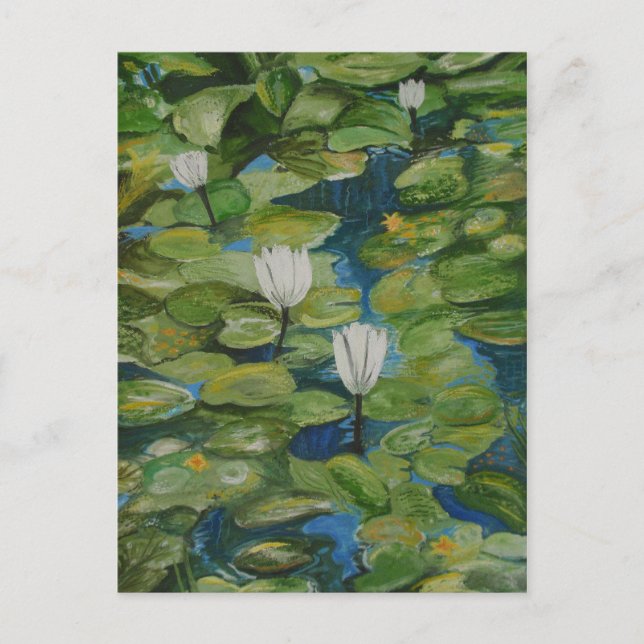 Postcard - Water Lilies at Hopeland Gardens (Front)
