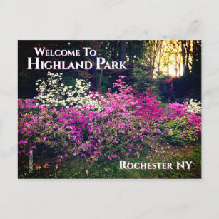 Postcard - Welcome to Highland Park Rochester NY