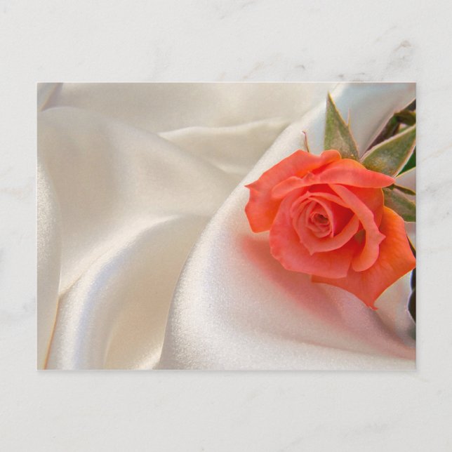 Postcard with a pink rose (Front)