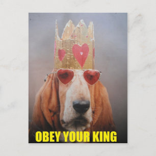 Postcard With Basset Hound King