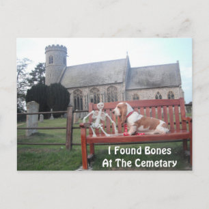 Postcard With Basset Hound Visiting Cemetary