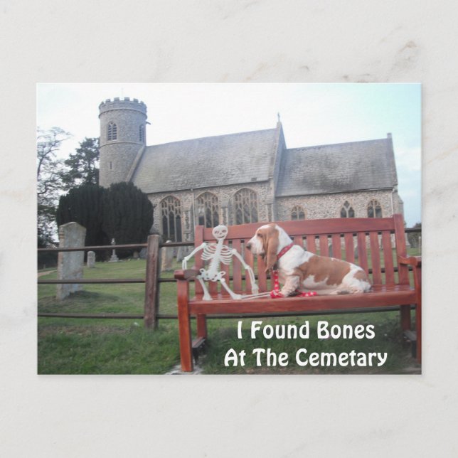 Postcard With Basset Hound Visiting Cemetary (Front)