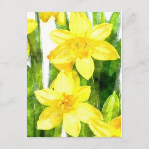 Postcard with Daffodils in watercolor