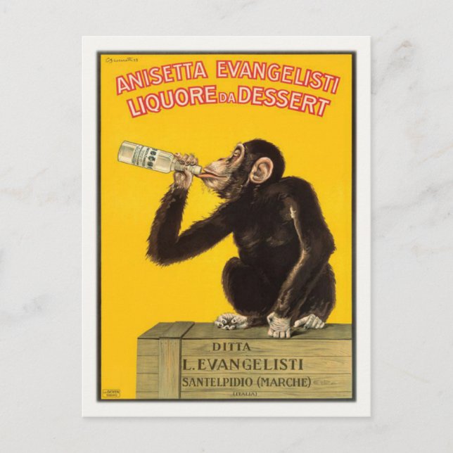Postcard with Drinking Monkey Poster (Front)