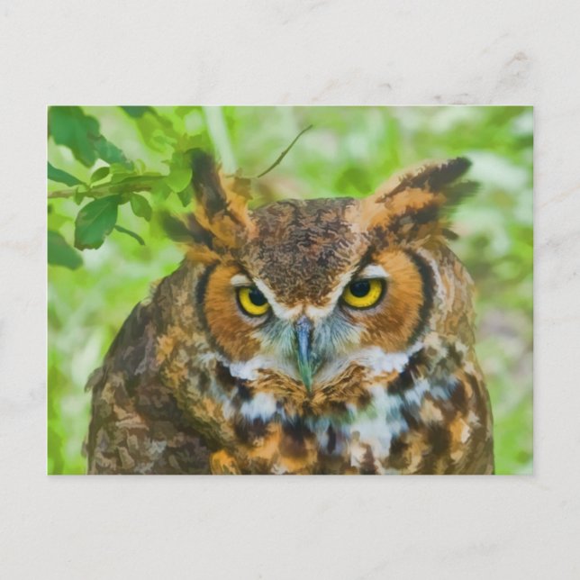 Postcard with Great Horned Owl (Front)