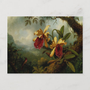 Postcard With Martin Johnson Heade Painting