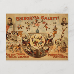 Postcard With Old Circus Poster