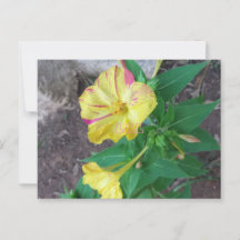 Postcard with white envelope