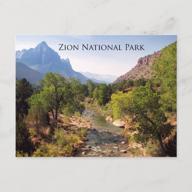 Postcard:  Zion National Park, Utah Postcard (Front)