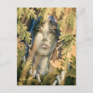 Postcards