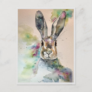Postcards - Explosion of Colour in Spring