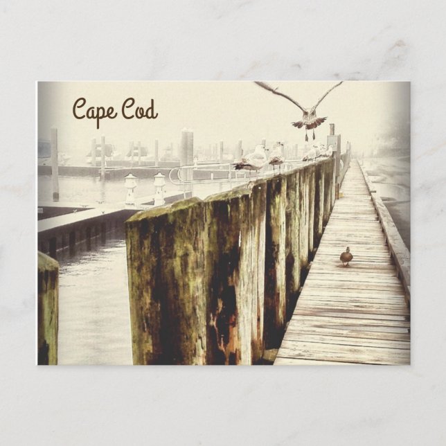 Postcards from Cape Cod (Seagull Harbour) (Front)