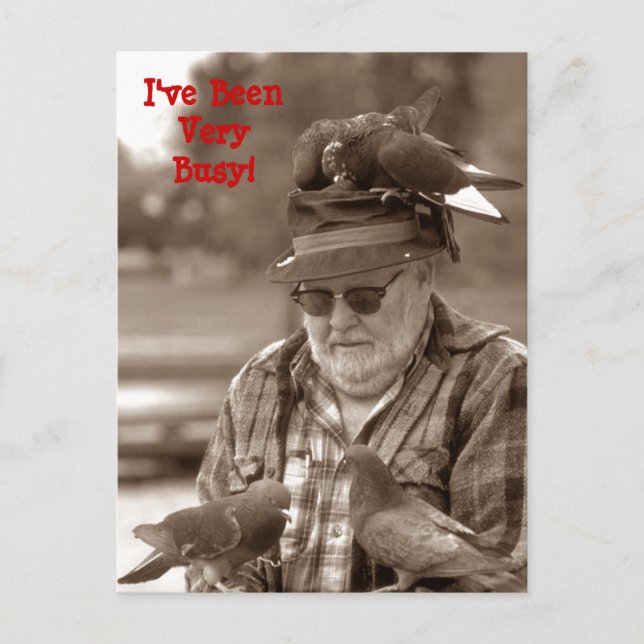 Postcards Greetings fun pigeons birds on man (Front)