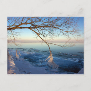 Postcards,Lake Ontario, Ice Cold. Postcard