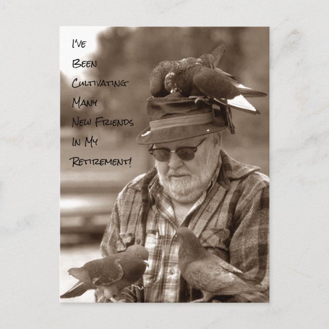 Postcards pigeons birds Retirement Humour funny (Front)