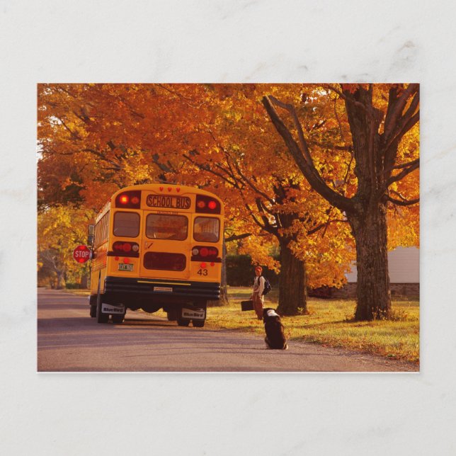 POSTCARDS   SCHOOL BUS (Front)