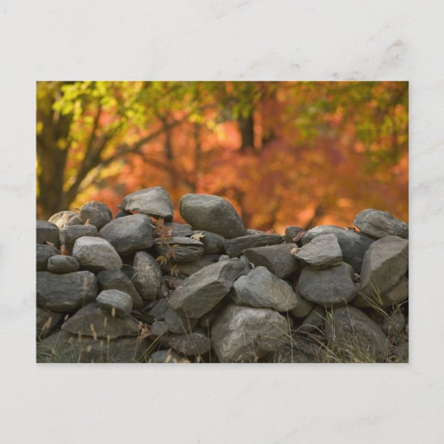 POSTCARDS   STONE WALL (Front)