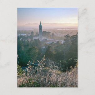 Postcards: University of California, Berkeley Postcard