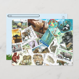 Postcrossing  Animal Postage Stamps Postcard