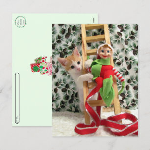 Postcrossing - Annie The Kitten and the Elf  Holiday Postcard