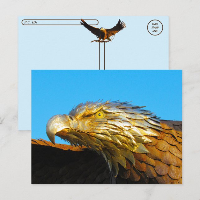 Postcrossing - Bald Eagle Statue Postcard (Front/Back)