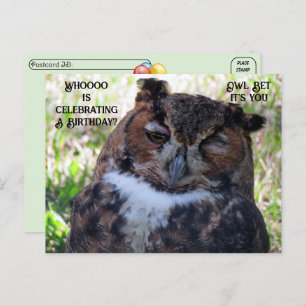 Postcrossing Birthday Great Horned Owl Postcard