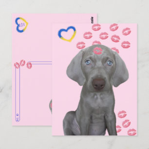 Postcrossing - Brooklyn the Dog's Kisses Postcard