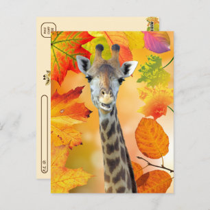 Postcrossing - Colourful Autumn / Fall Giraffe  Postcard