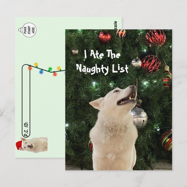 Postcrossing - Crystal's Naughty List Christmas  Postcard (Front/Back)