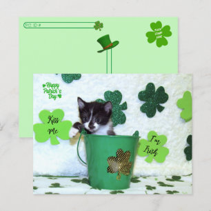 Postcrossing - Foxie Cat St. Patrick's Day Card