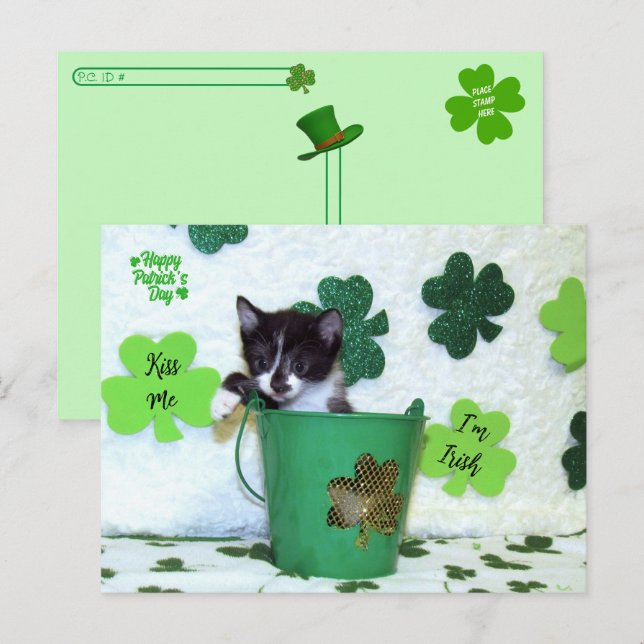Postcrossing - Foxie Cat St. Patrick's Day Card (Front/Back)
