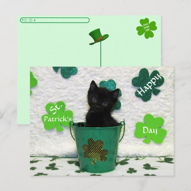 Postcrossing Handsome Jack = Cat St. Patrick's Day Postcard (Front/Back)