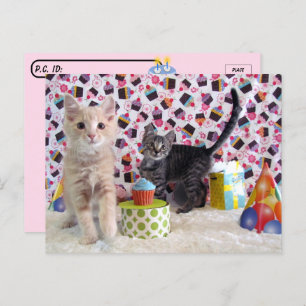 Postcrossing - Happiest of Birthdays - Cat Postcard