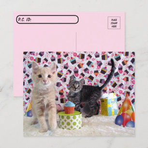 Postcrossing - Happy Birthday Cats Postcard