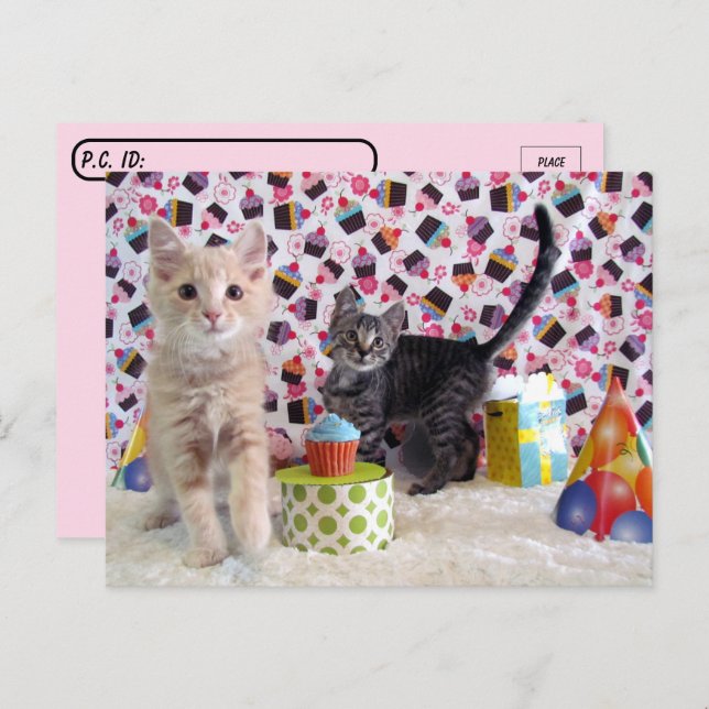Postcrossing - Happy Birthday Cats Postcard (Front/Back)