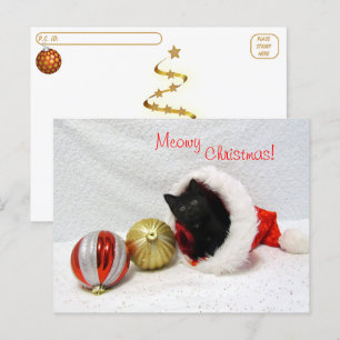 Postcrossing - Joon's Christmas - Cat / Kitten Postcard